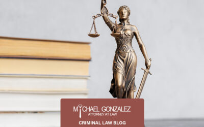 Navigating the Federal Criminal Justice System: A Guide to Defending Against a Charge of Illegal Re-Entry of an Illegal Alien